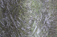 Tal Y Waenydd fibreglass roof work